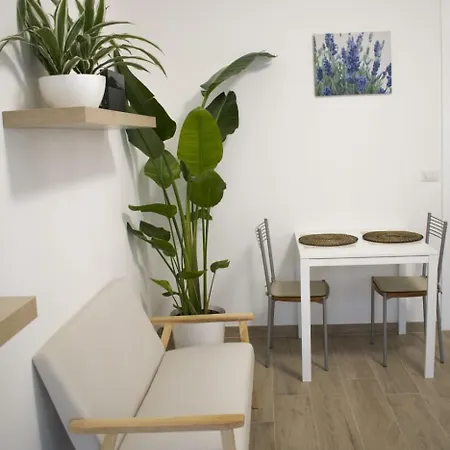 Maison 37 *